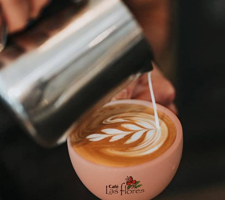 Beneficios de consumir café y la peculiaridad de nuestro café certificado Hacienda El Progreso