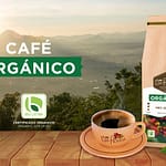 Café orgánico