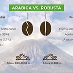 Diferencias entre café Arabica vs. Robusta